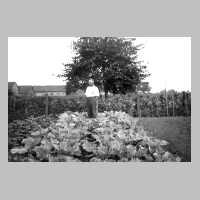 116-0032 Hans Bessel im Gemuesegarten bei der Kohlpflanzung .jpg